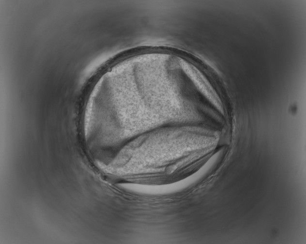 X0000116551311200912311903