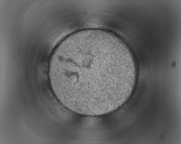 X0000116551314200912311903