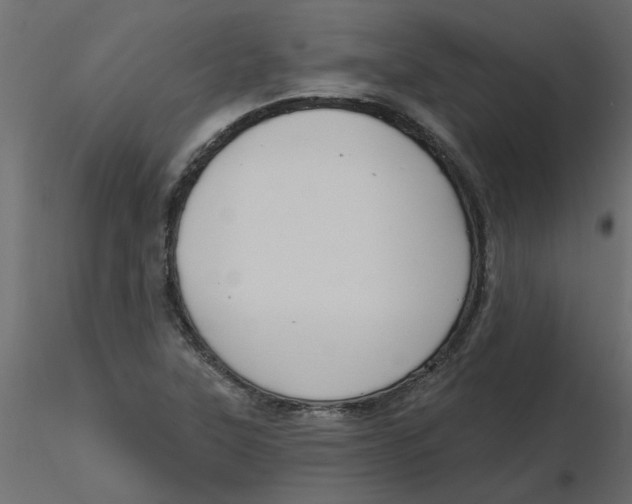 X0000116551315200912311903