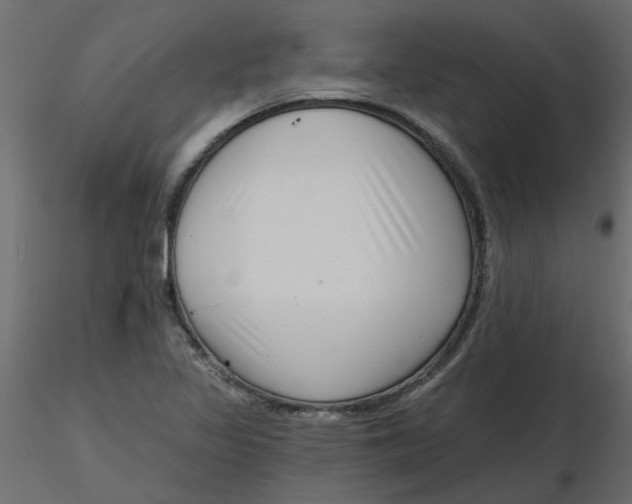 X0000116551317200912311903