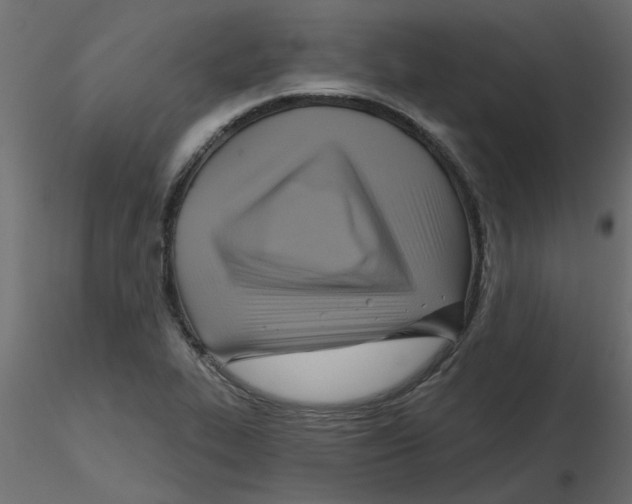 X0000116551319200912311903