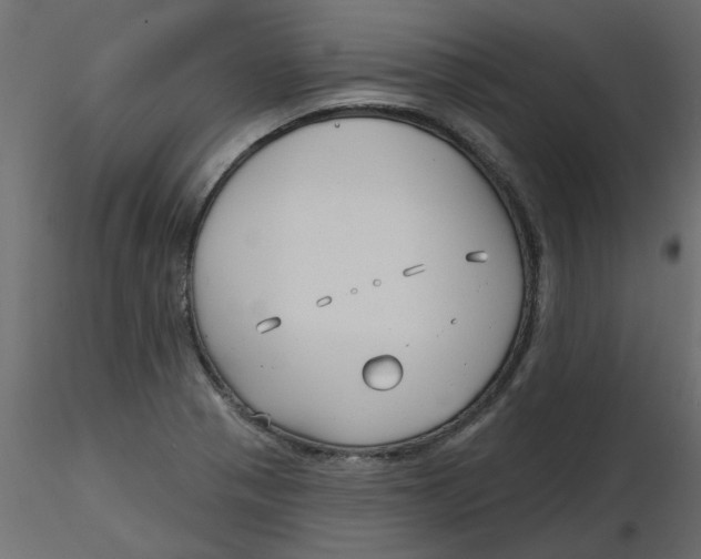 X0000116551321200912311903