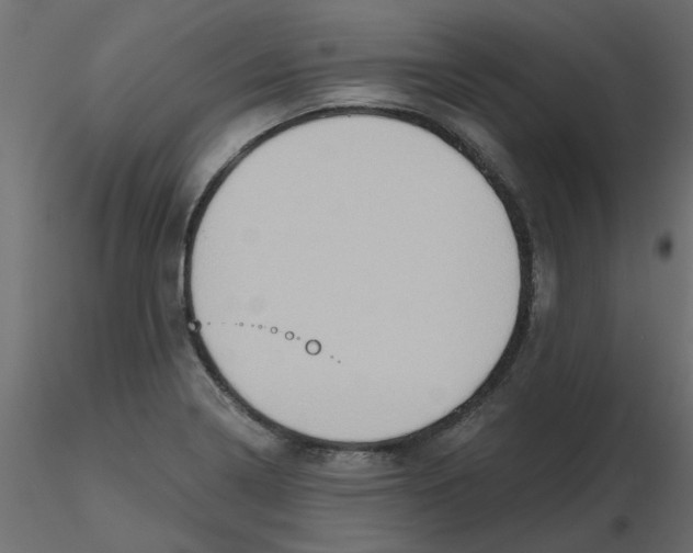 X0000116551322200912311903