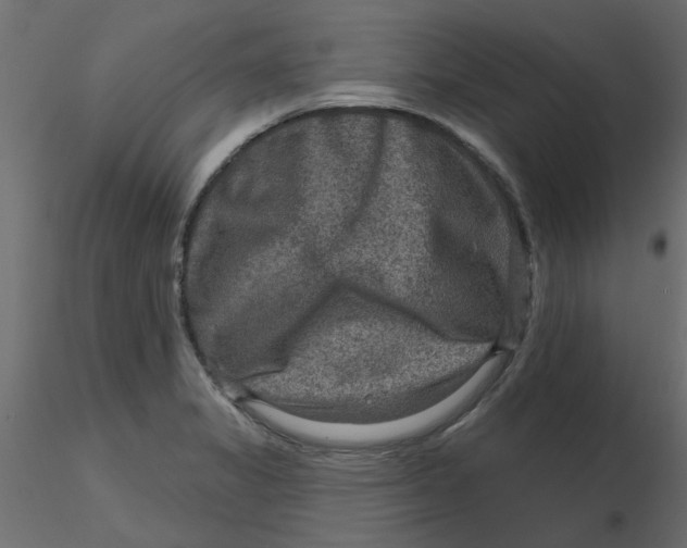 X0000116551325200912311903