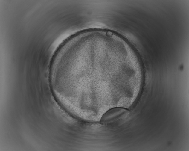 X0000116551326200912311903