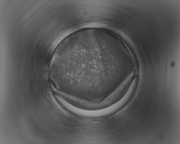 X0000116551329200912311903