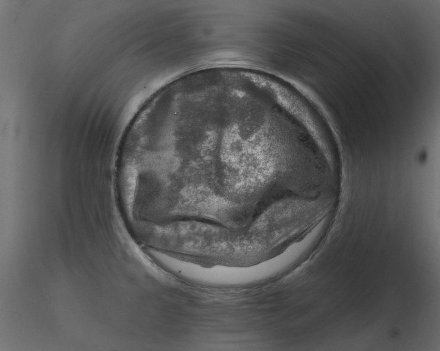 X0000116551333200912311903