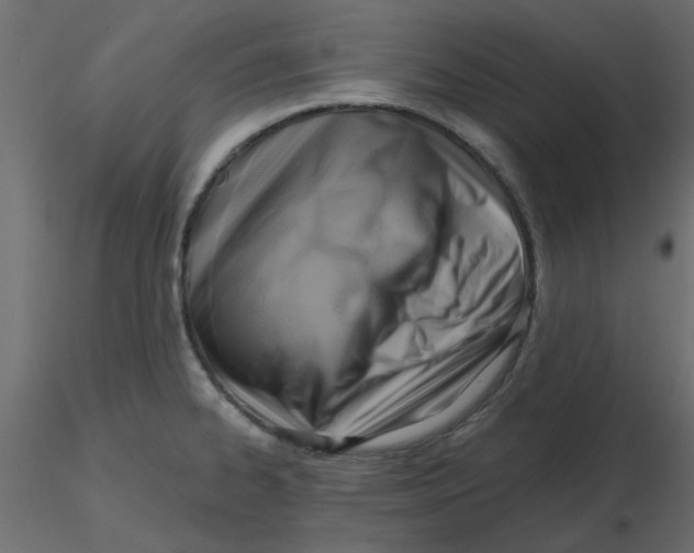 X0000116551334200912311903