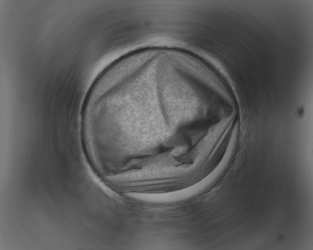 X0000116551335200912311903