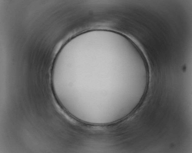 X0000116551341200912311903