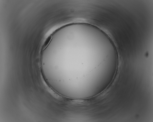 X0000116551342200912311904