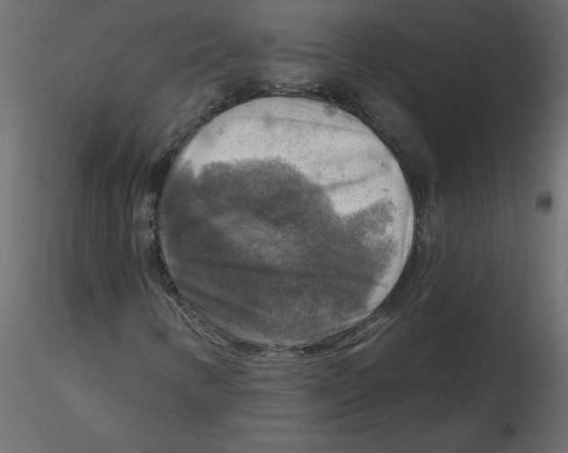 X0000116551346200912311903