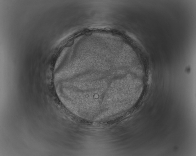 X0000116551350200912311903