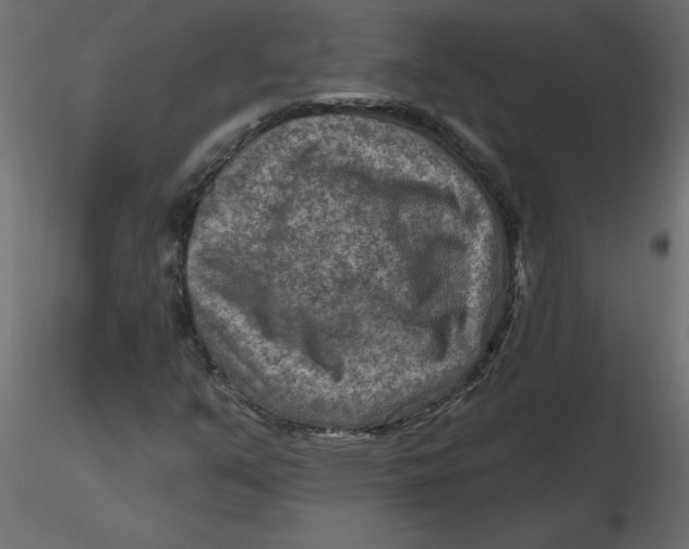 X0000116551351200912311903