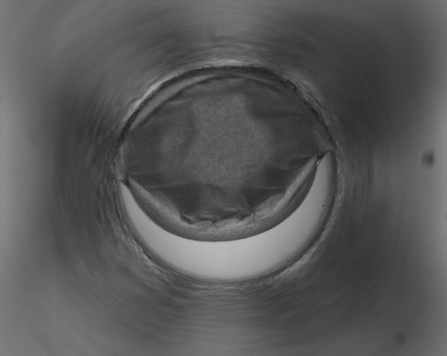 X0000116551353200912311903