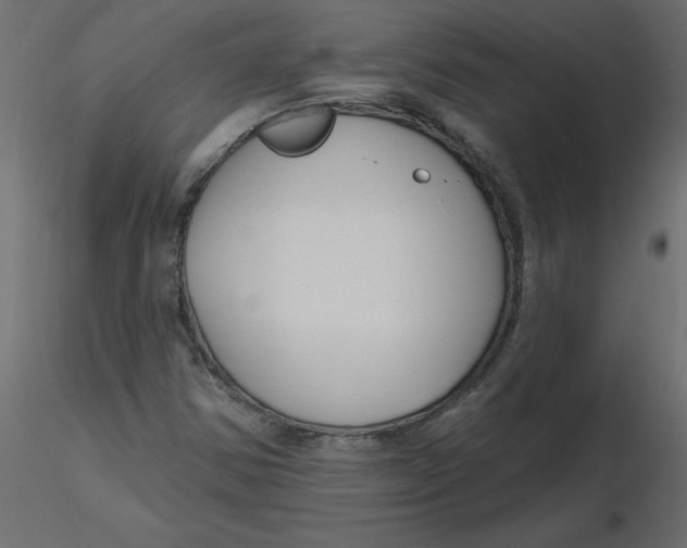 X0000116551354200912311903