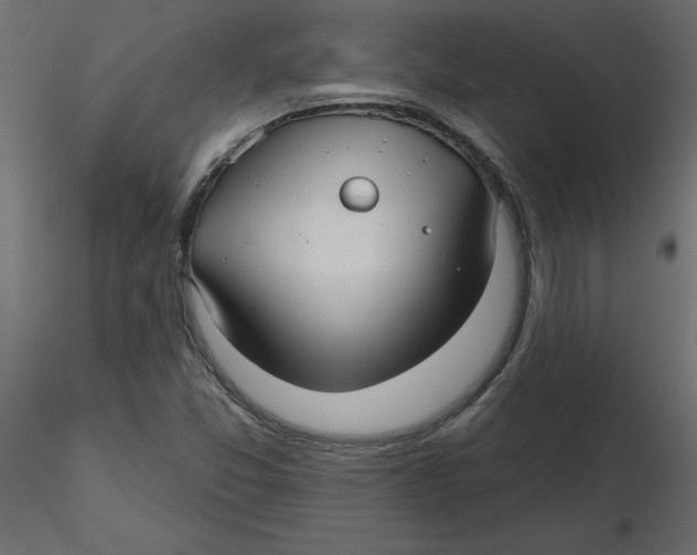 X0000116551357200912311903