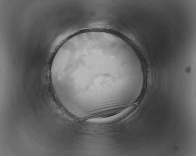 X0000116551358200912311903