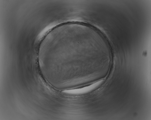 X0000116551359200912311903