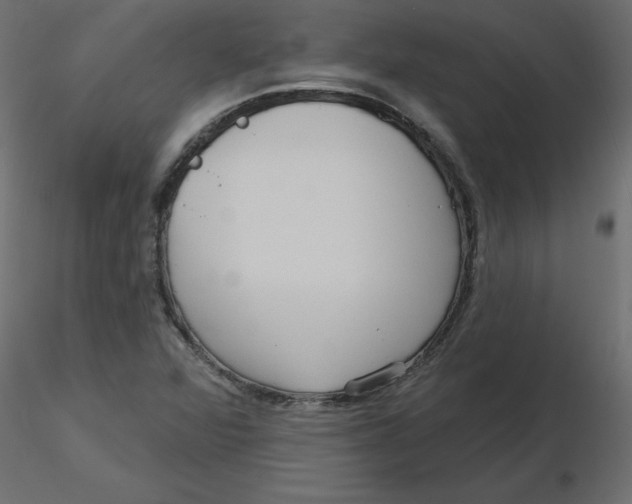 X0000116551360200912311903