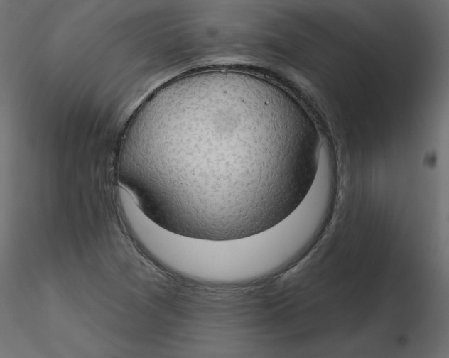 X0000116551361200912311903