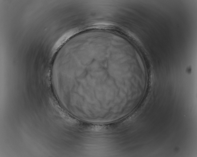 X0000116551362200912311903