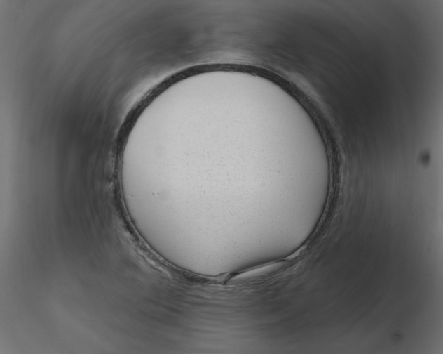 X0000116551364200912311903