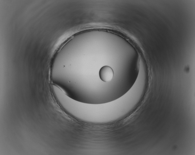 X0000116551365200912311903