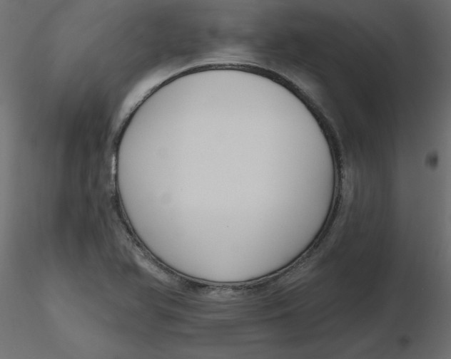 X0000116551366200912311903