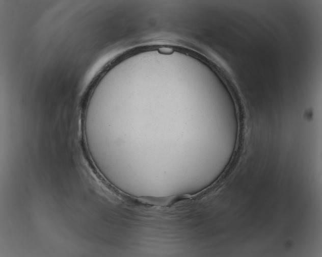 X0000116551368200912311903