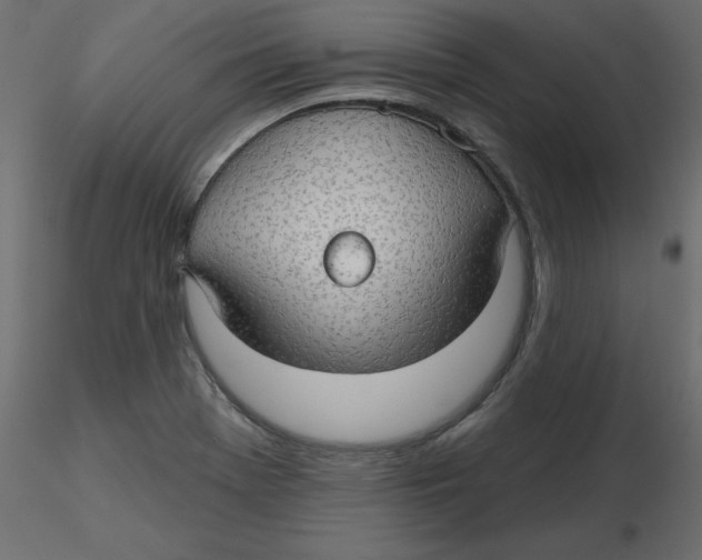 X0000116551369200912311903