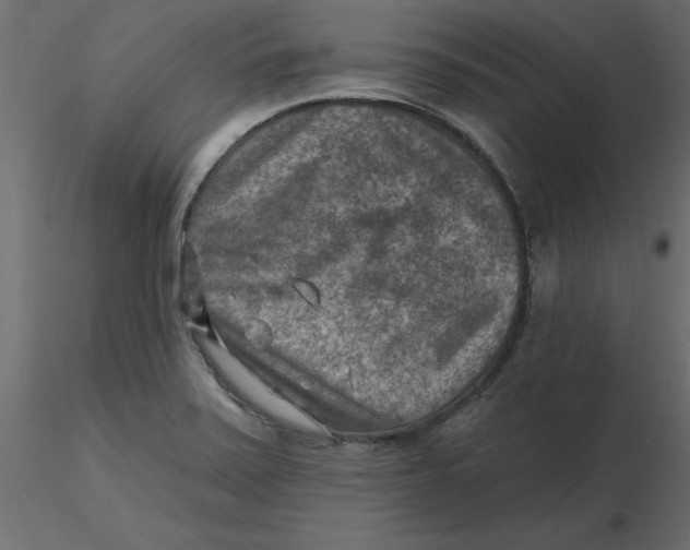 X0000116551371200912311903