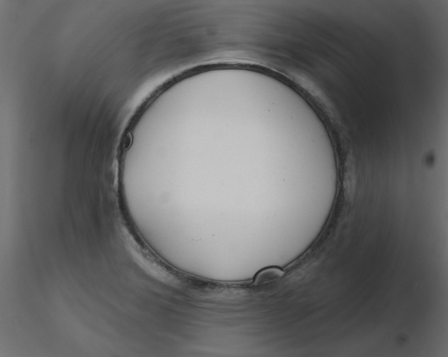 X0000116551372200912311903