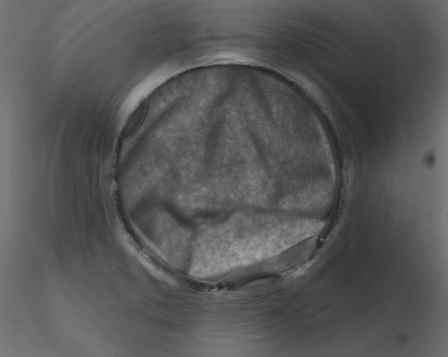 X0000116551373200912311903