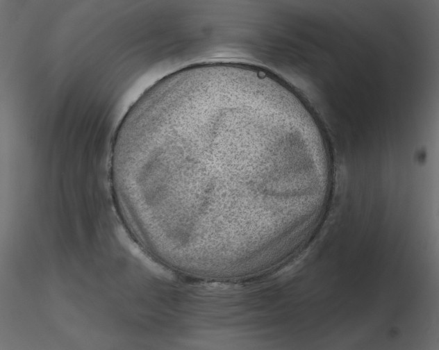 X0000116551374200912311902