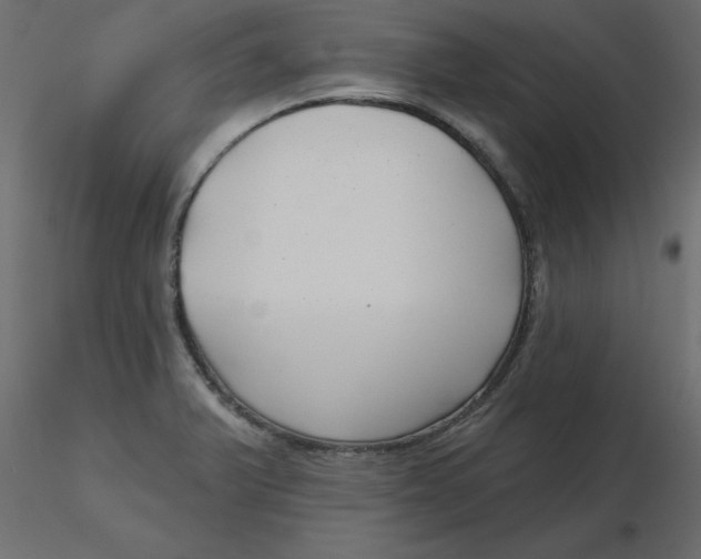 X0000116551375200912311902