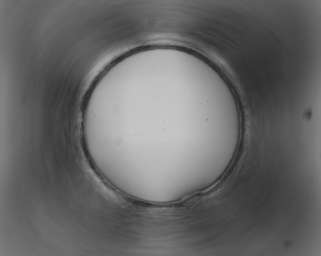 X0000116551376200912311902