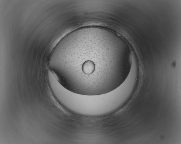 X0000116551377200912311902