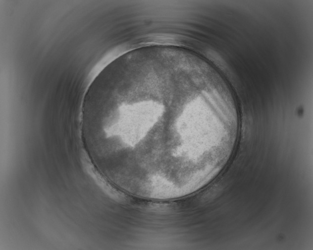 X0000116551378200912311902