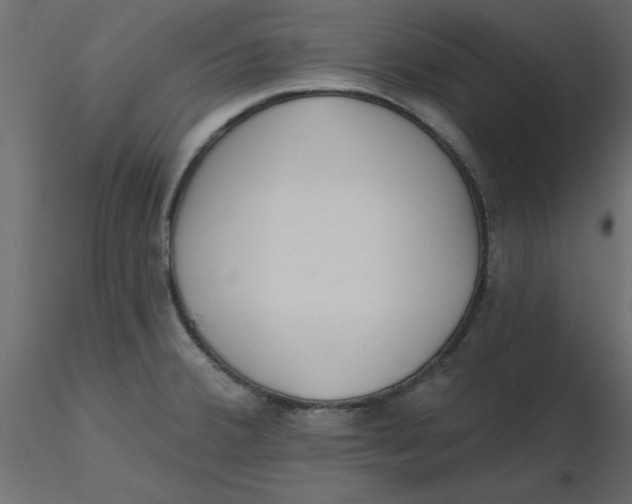 X0000116551380200912311902