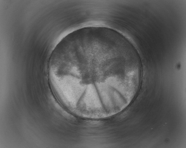 X0000116551382200912311902