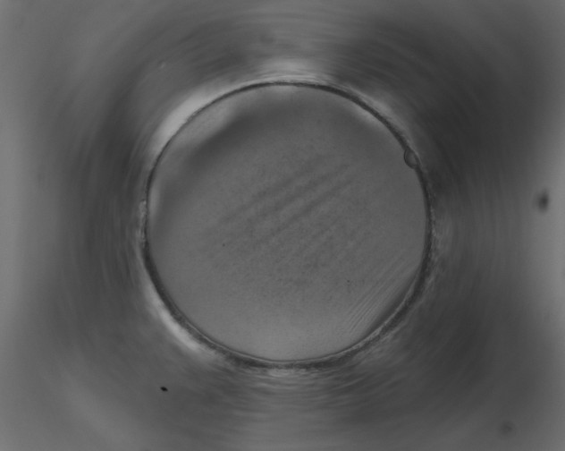 X0000116551383200912311902