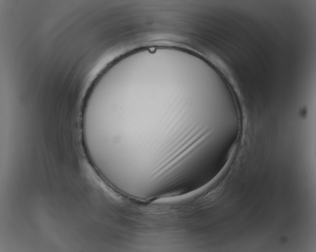 X0000116551384200912311902