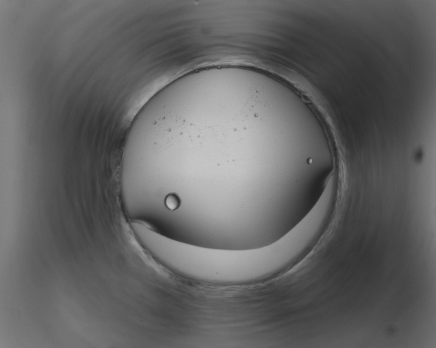 X0000116551385200912311902