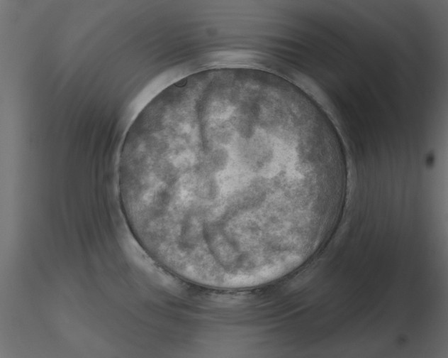 X0000116551386200912311902