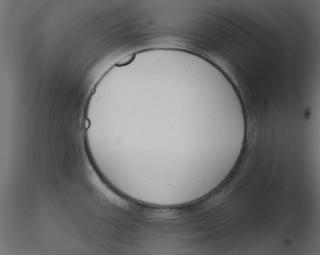 X0000116551387200912311902