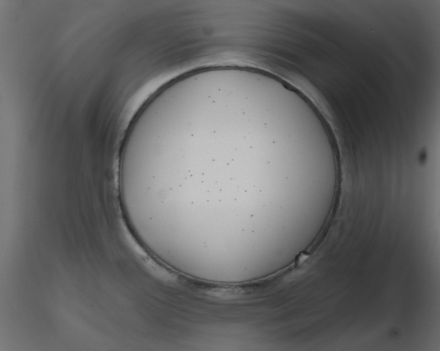 X0000116551388200912311902