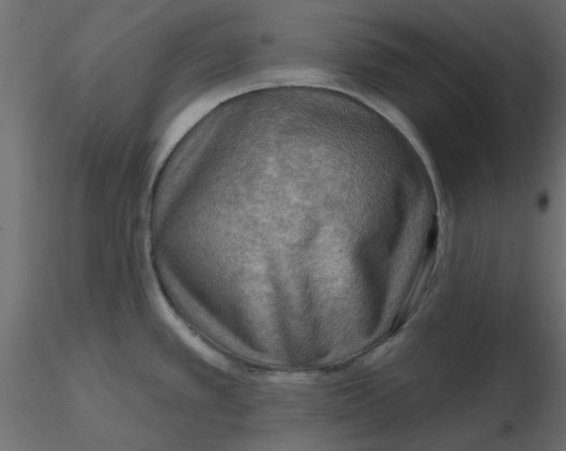 X0000116551389200912311902