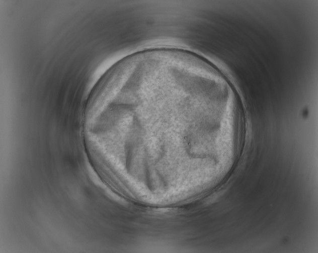 X0000116551390200912311902