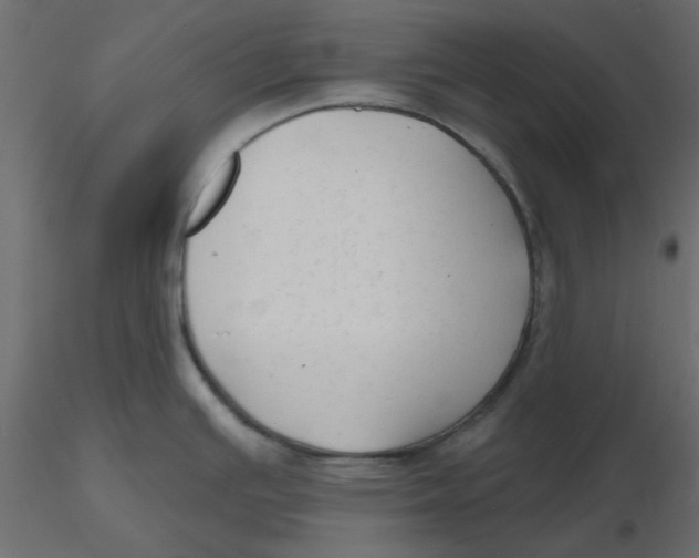 X0000116551391200912311902